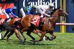 Concerns over Blue Diamond favourite