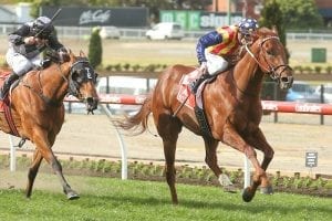 Oakleigh Plate - what does history say