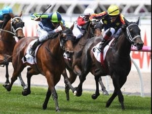 Luvaluva to start Oaks bid in Hobartville