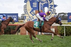 Terang betting preview, top tips & best odds | Monday, 22/02/21