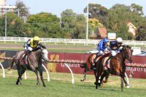 Tofane (Photo: Ultimate Racing Photos) | Horseracing.com.au