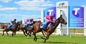 Albury Cup