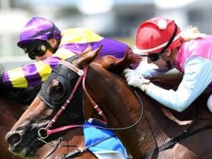 Aqua Vite beats the odds to race again