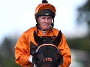 Lloyd gets 100 winners in Queensland