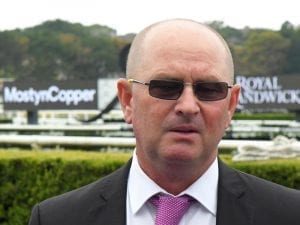 Good reaction to Millard at Doomben