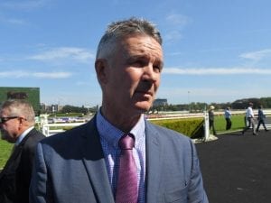 Sydney gelding Tonsor to run at Doomben