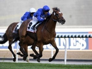 Melbourne Cup winner Cross Counter wins