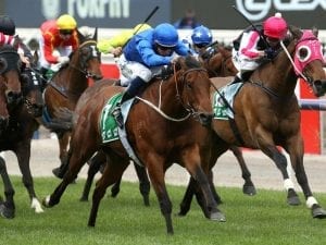 Big fields to contest Flemington features