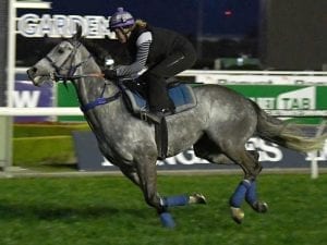 Chautauqua's barrier antics play out again