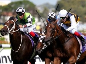 Vin De Dance on track for Australian Derby