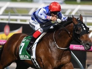 Harlem to chase another Group One win