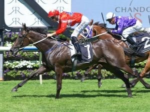 Oliver chasing second Slipper on Seabrook