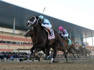 Aqueduct racecourse