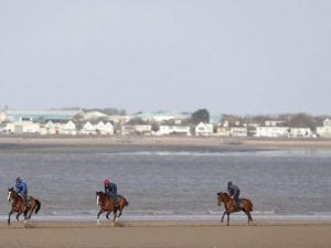 British horses to keep exercising