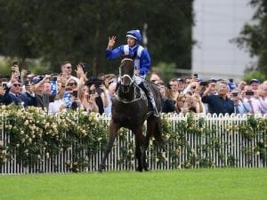 Champion Winx the people's choice