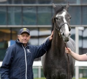 Europe well represented at the Hong Kong International Sale