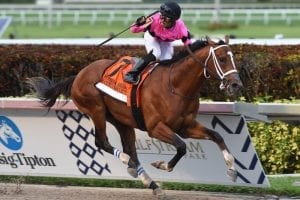 Ex-claimer Maximum Security steps up big in Florida Derby