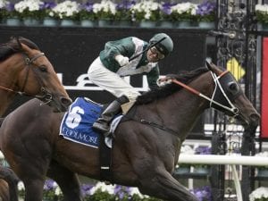 Exceedance ready to excel in G1 Newmarket