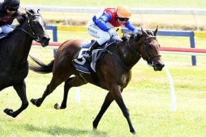 Dazzling maiden win by Pop Star Princess