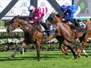 Senior member of TAB warned off by Racing NSW