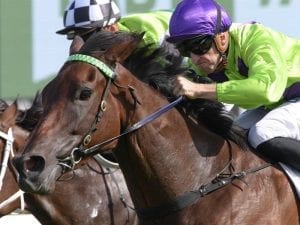 Newnham to take up Guineas challenge