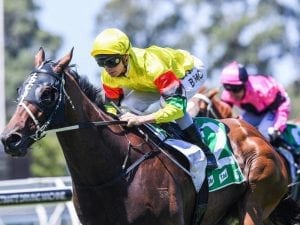 Bush star Akasaki rewards faith of owners