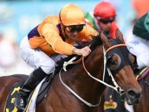 Irukandji to target Sires' Produce Stakes