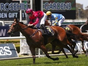 Secret Lady faces last-ditch Slipper bid