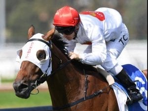 Doncaster Mile next for Arbeitsam