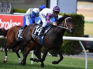 Alta Stella impresses first-up at Sandown