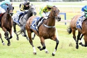 Seventh Up to shoot for back to back Easter Stakes wins