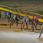 Substantial (7) powers clear in the Shepparton Cup