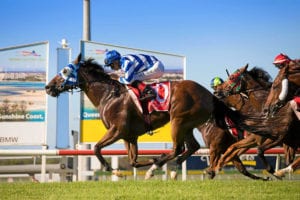 Sunshine Coast tips and quaddie selection | Sunday, 14/03/21