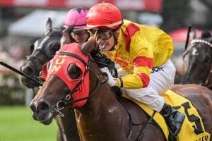 Thronum winning the Australia Stakes