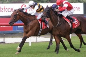 Baker and Forsman rapt with their trio of Guineas contenders