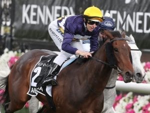 Aristia to appreciate trip in Vinery Stud