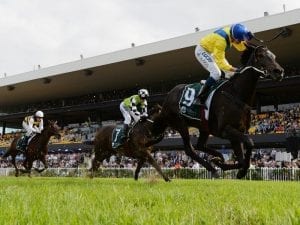 Front-running Hiyaam wins G1 Vinery Stud