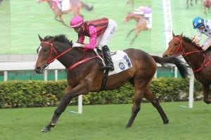 Race favourite Waikuku in doubt for Sunday's Hong Kong Derby