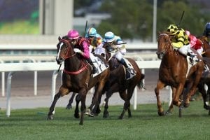 Waikuku declared fit to start in Hong Kong Derby