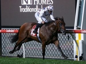 Sunlight shines in William Reid Stakes