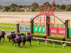 Morphettville racing tips