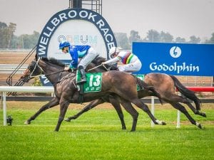 Muswellbrook Racecourse