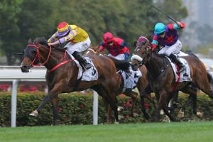 Ping Hair Star wins Hong Kong Derby