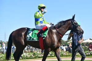 Barb Raider holds on to claim Kewney Stakes victory