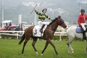 Furore catches the eye as FWD QEII Cup entrants trial at Sha Tin