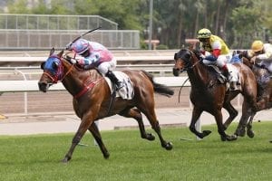 First Hong Kong win for Alfred Chan