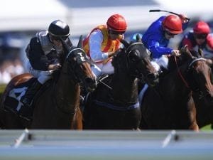 Houtzen on target for Arrowfield