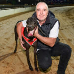 Aston Merit with handler Jason Sharp.