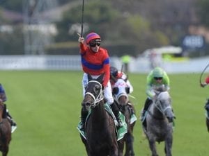 Verry Elleegant stamps class in Oaks win