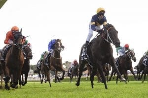 Matamata celebrates Brutal Group One